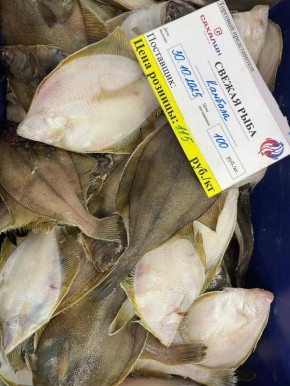 Сегодня – гастрономическое событие: камбала по суперцене