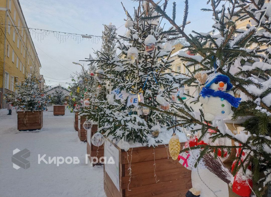 Кировчане в этом году бережнее относятся к елкам на Спасской