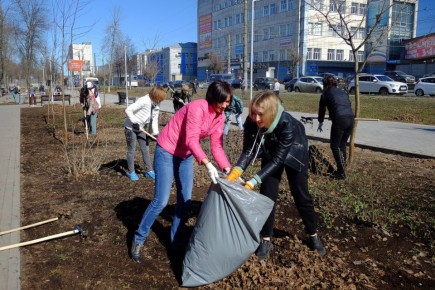 В рамках всероссийской акции «Зеленая Россия» в 2025 году в Кировской области прошло порядка 80 субботников