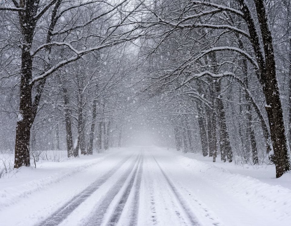 ���������, ����� � ���������� �� -2 �������� ������� ������ � ��� �����������