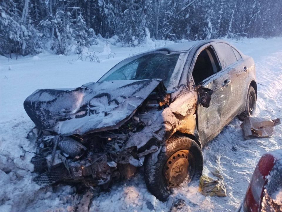 По факту происшествия в Сунском районе полицейские проводят проверку