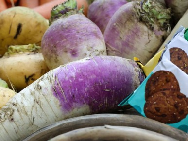 ������: ����������� � ���������� �����������