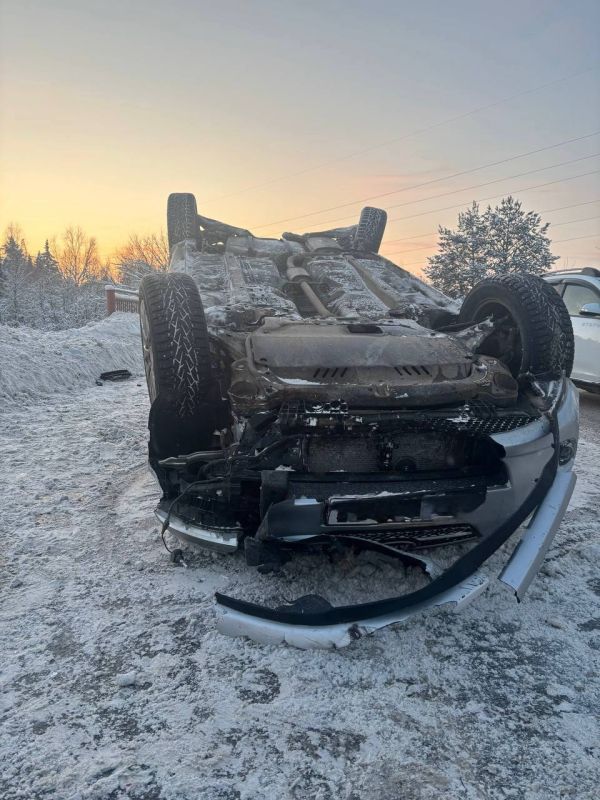 Информация носит предварительный характер