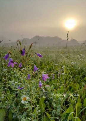 2025 ��� �������� �����. �� ���� ��� �� ���� �� ������ ��������� ������, ���������� ������ ������� ������������� �������������