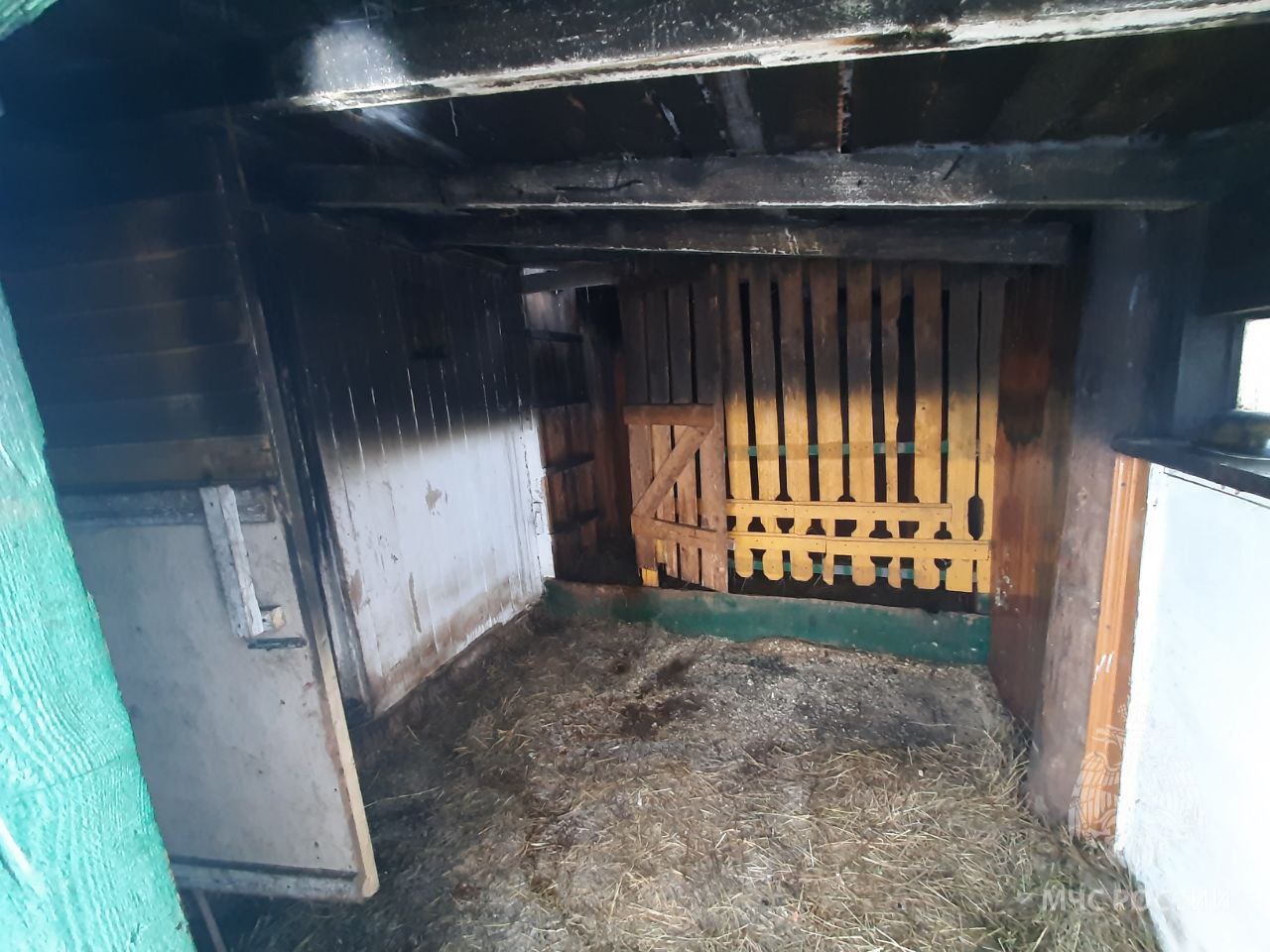 Стала известная причина пожара на экоферме Савков Хутор под Котельничем Стала известная причина пожара на экоферме Савков Хутор под Котельничем