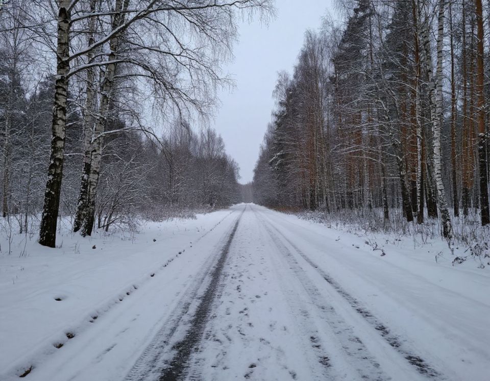 ��������� ������� ����� "�������" �����