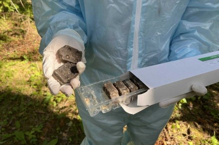 � 2025 ���� � ����� ��������� ������� ��������� 1 ��� ��� ������������� ������� ������������ �� ���������