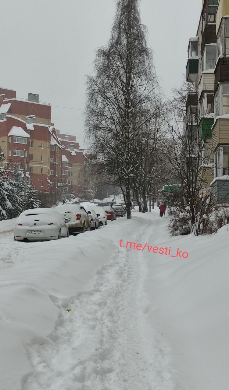 Кировскую область вновь накрыли снегопады