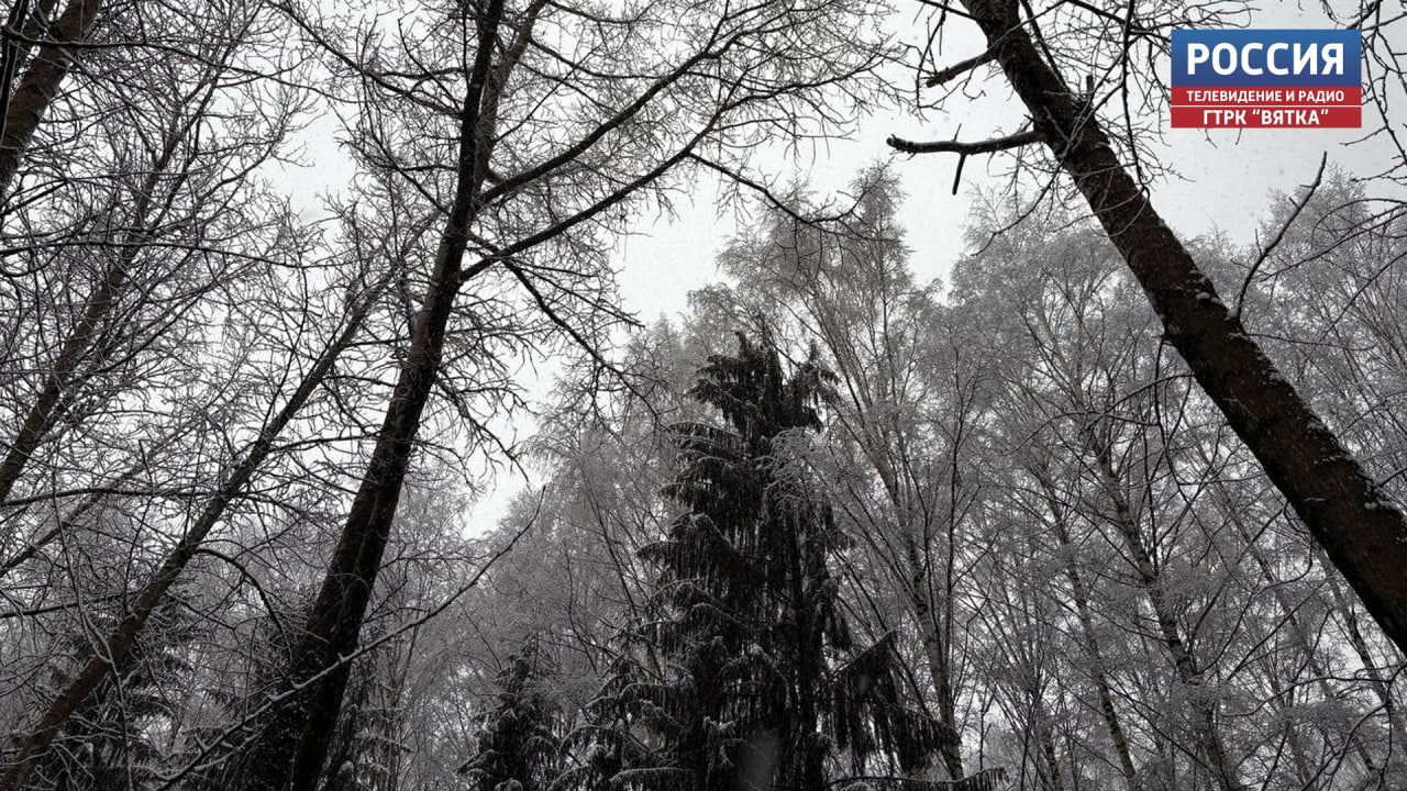 В пятницу в Кировской области ожидается небольшой снег