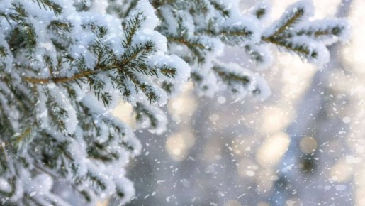 �������� ��� ������� �������