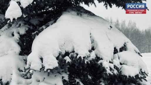 В субботу в Кировской области будет облачно с прояснениями