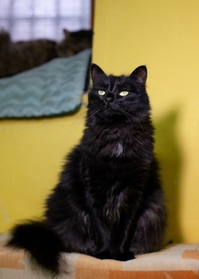 ����� �� ������ ����� ���� ���