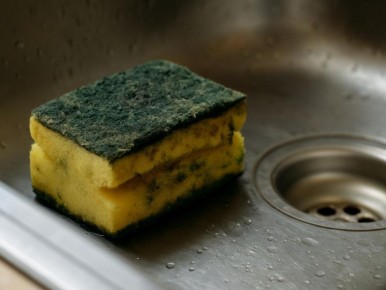 ������ ����� ��� ������: ����������� ������ ������� � ����