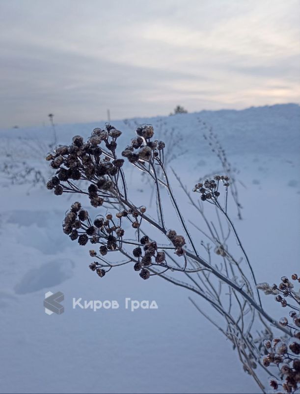 ���������� ��������� � ��������� ������� ��������� ������ � ��������