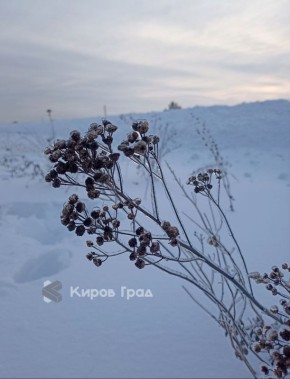 ���������� ��������� � ��������� ������� ��������� ������ � ��������