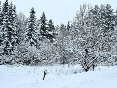 ������� ���������� �� ������ ������� ���� ������ ����