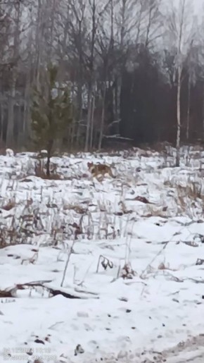 ��������� �������� ������ ����� 170 ������