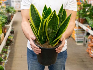 ���������� � �������� ��������: ����� ������� � ��������� 2026 ����