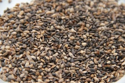 � ��������� ������� ��������� ����� ������� ����� ������� ����� ����������