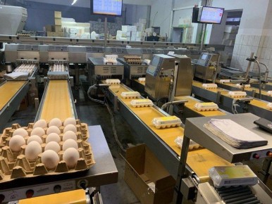 � ������� ������� �������� ��������� ������������������ ������� �� 100 000 ���