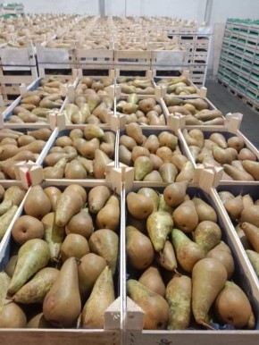 ������ ������ ��������� ������� ��������� � ��������� ������� � 2026 ����