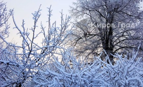 ������ �� -35 ���� � ��������� �������