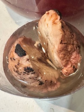 ��� ����� �������