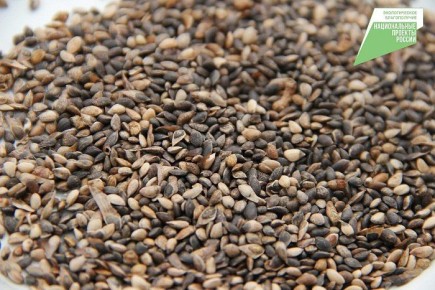 ��������� ������� ������� ��������� 5 ���� ����� ��� ������������������