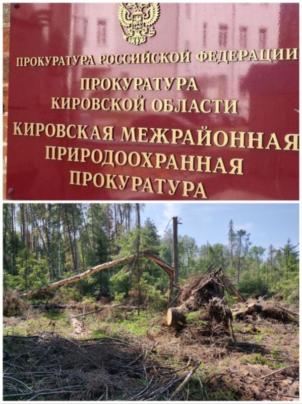 ��������� ����������� ��������������� ����������� ������� �������� ���������� ���������������� � ����� ���������������