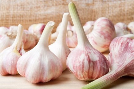 Как обновить чеснок: секреты получения богатого урожая