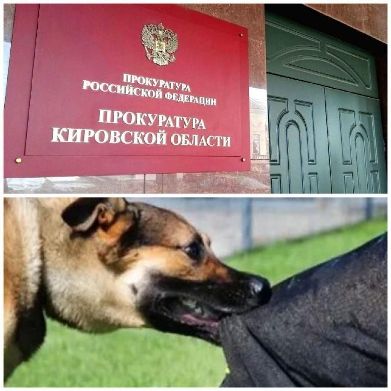 В Суне прокуратура через суд взыскала с собственника собаки в пользу 13-летнего пострадавшего компенсацию причиненного морального вреда