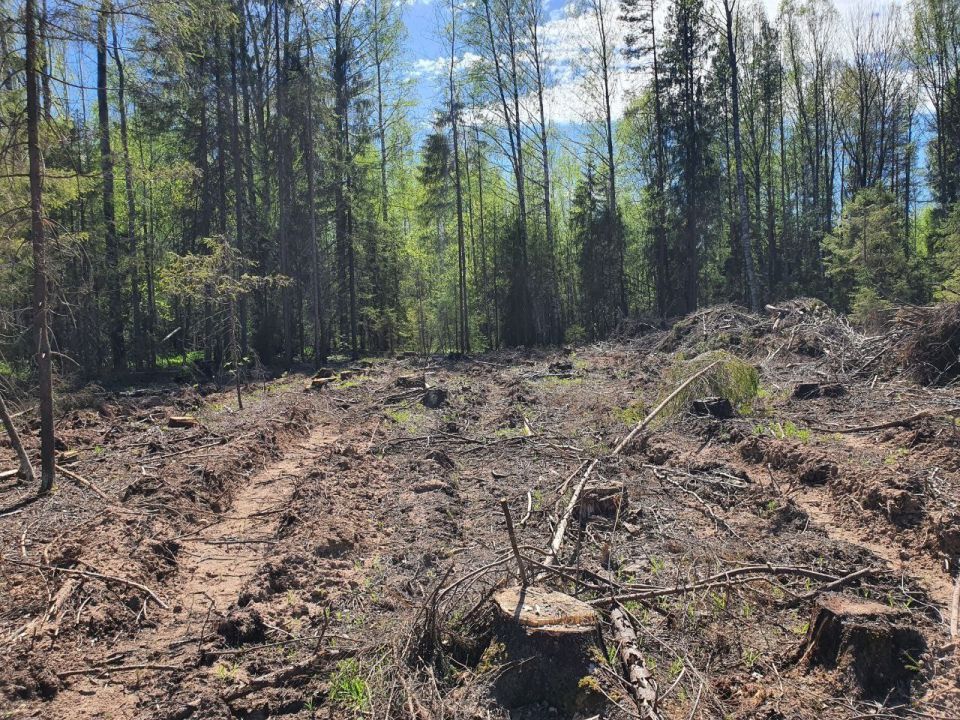 � �������������� ������ �� ���������� ����������� ���������� ��������� ���� �� ������ ���������� ����� ����