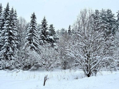 ������� � ����� ������ ��������� ��������� ������ ��� �������