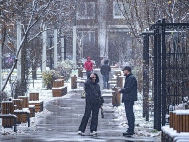 ����� �� ����������: ��� �������� �������� �����������