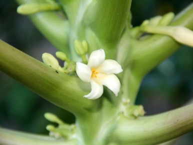 ��� ��������� ������ ����: �� ����� �� ������ ������