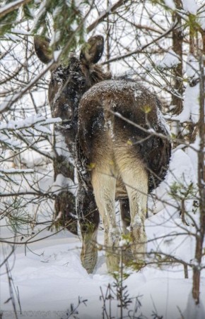 ���� � ������������� ������