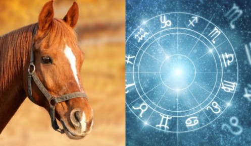 ��� ���� ������� ���������� ���� ��������� ��������