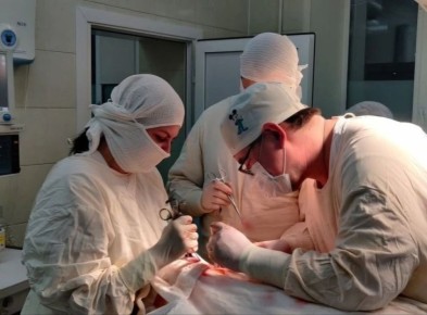 ��������� ������� ��������� ����������� ����, �������� � ������ ��������� � ��������� �������� ���