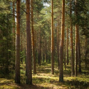 ��������� ������� � ���������� ����� �� ��������� ���������� � ��������������� �������������� � ������ � ������� ��������