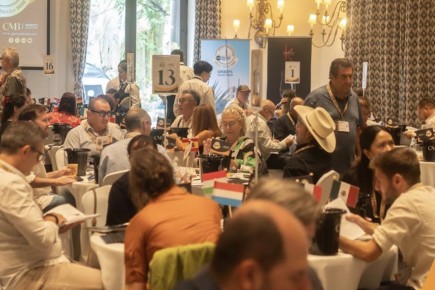 ������� ������� �������� � �������: ��� ������ � ���� Spirits Selection?