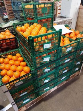 � ������ � ������ ������������ ���������� ���������� ����������� ����������