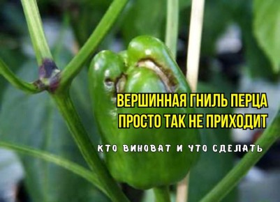 �������� � ������: ��������� ����� � ��� ���������� � ���