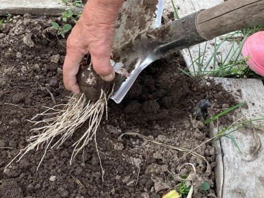 ��� �� ��������� ������� ������� �������: �������� ������ � ������