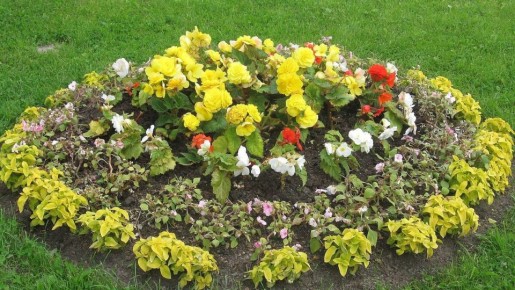 ������������� ������: ����� � ��� ��������� �������� ��������