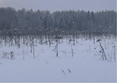 � ������-�������� ������ 34 ������� ������������� ������� ��������� � ���������