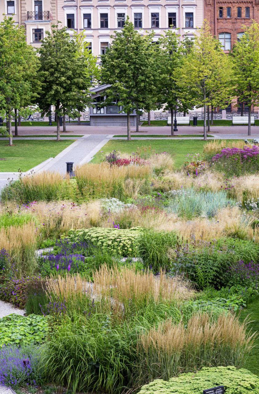 Большой ландшафтный проект хотят реализовать в Кирове