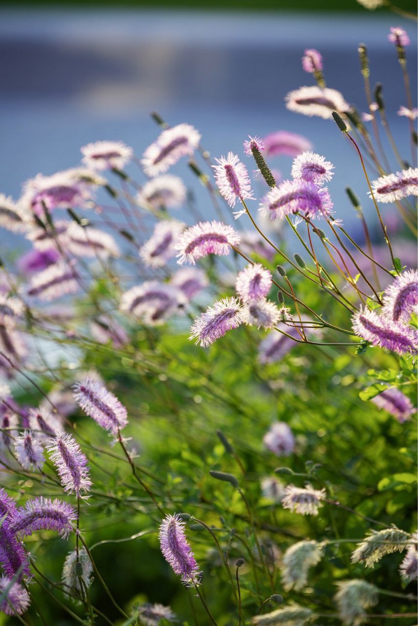 Большой ландшафтный проект хотят реализовать в Кирове Большой ландшафтный проект хотят реализовать в Кирове