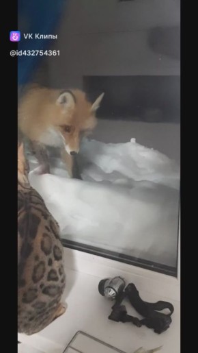 ��� ������ ��������� ������, ����� �� ����� ��� � ������ ����� ������ �������� ���� ���������?