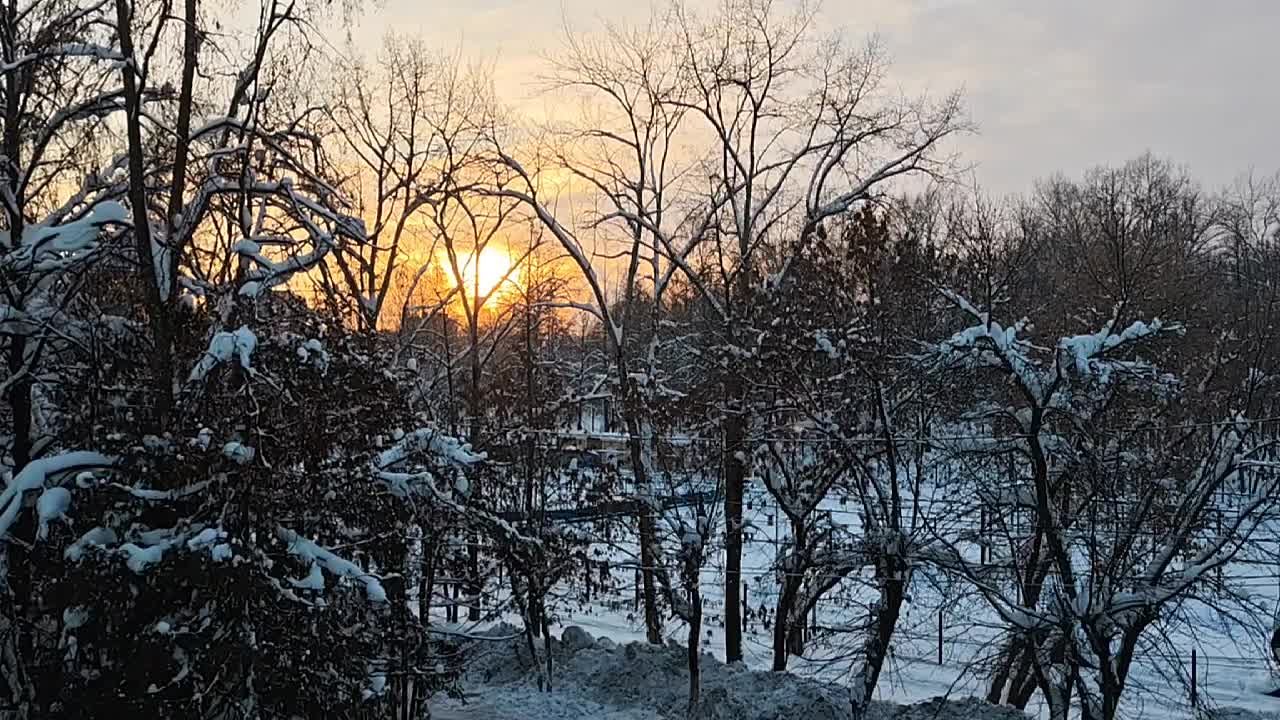 Закатное солнце сегодня. Гагаринский парк города Кирова