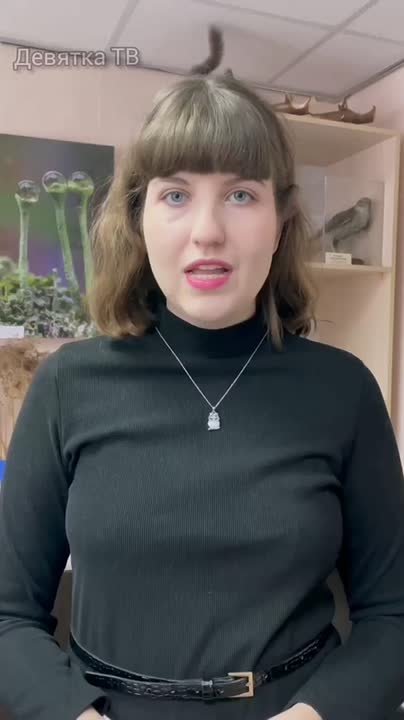 В Кирове и Слободском провели акцию «Серая шейка» — общероссийский проект по переписи водоплавающих птиц